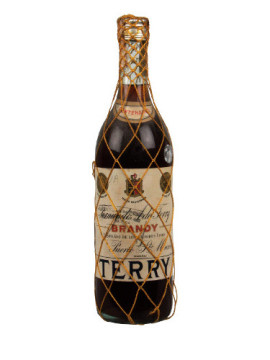 Brandy Terry Centenario